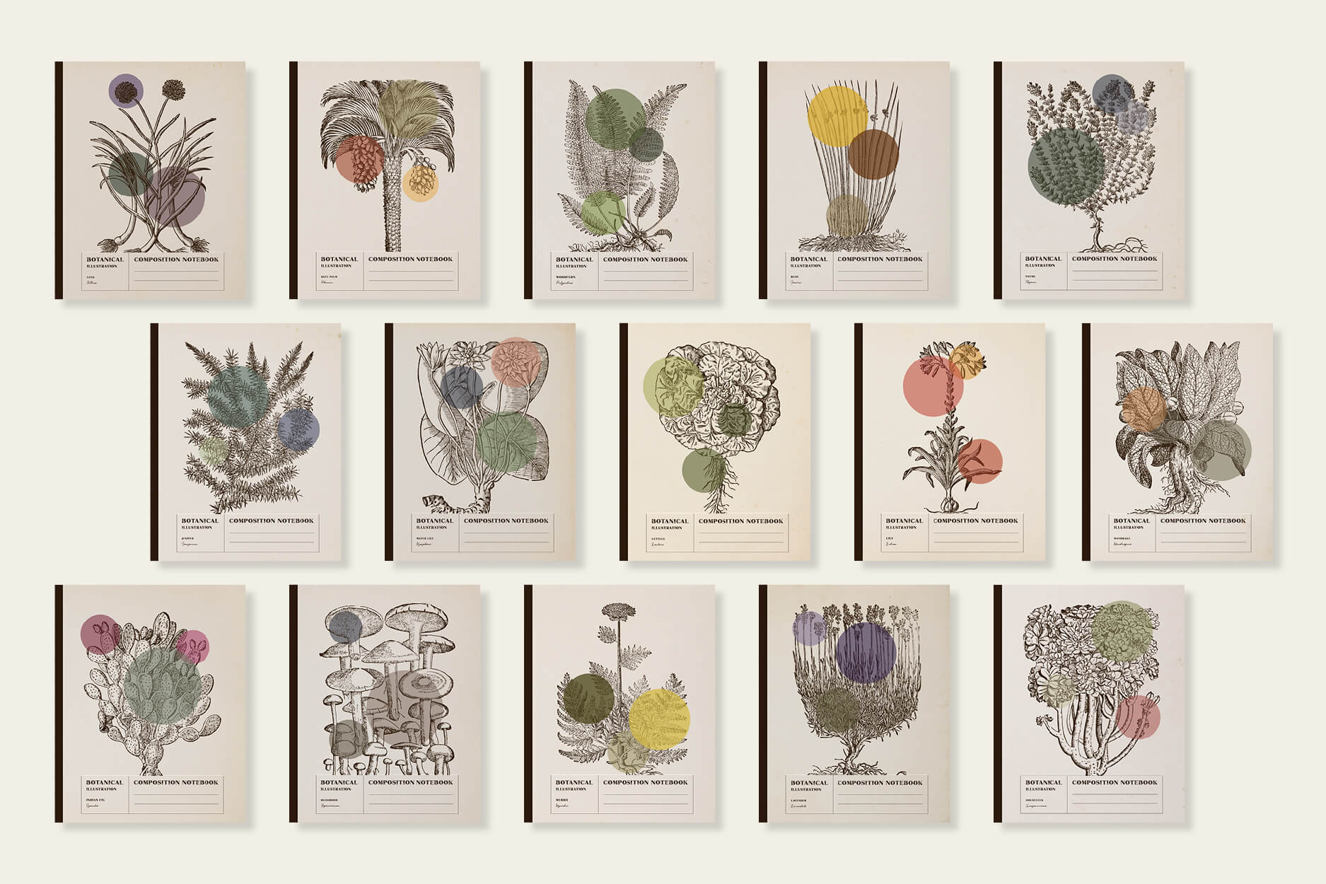 Composition Notebooks / Vintage Botanical Illustrations / Colored Circles Series / Botanicals include lavender, lilies, succulents and woodferns.