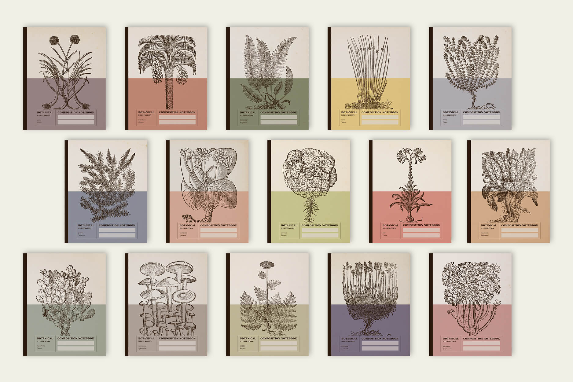 Composition Notebooks / Vintage Botanical Illustrations / Color Block Series / Botanicals include lavender, lilies, succulents and woodferns.
